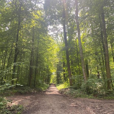 Sonnenschein Apartman Baden-Baden Kültér fotó